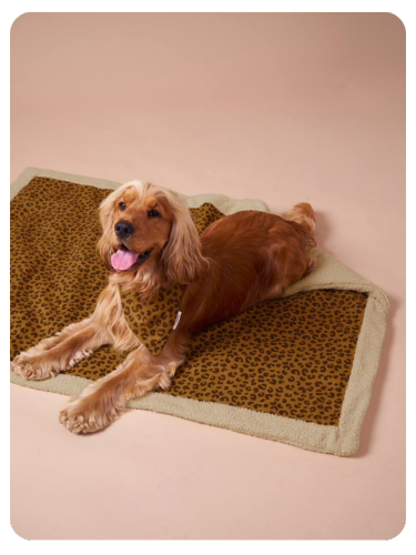 Wendbare Hundedecke, Liegedecke - braun bedruckt